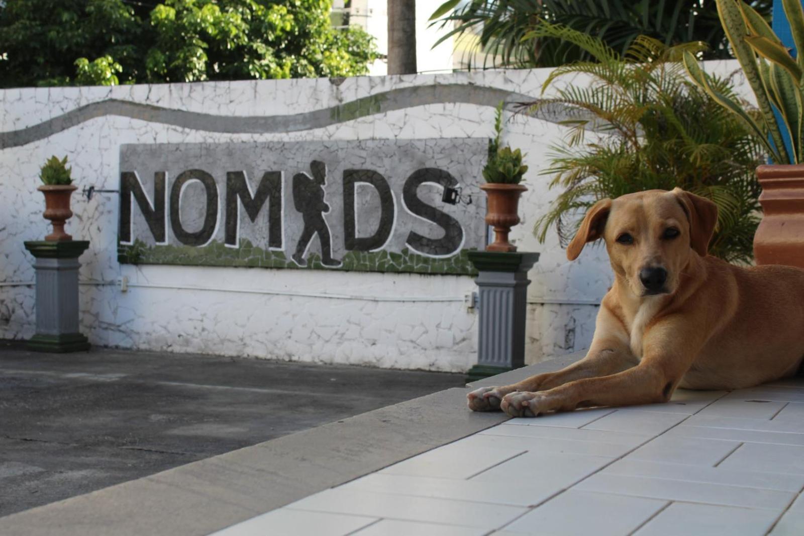 Nomads Hostel Multicultural & Coworking السلفادور المظهر الخارجي الصورة