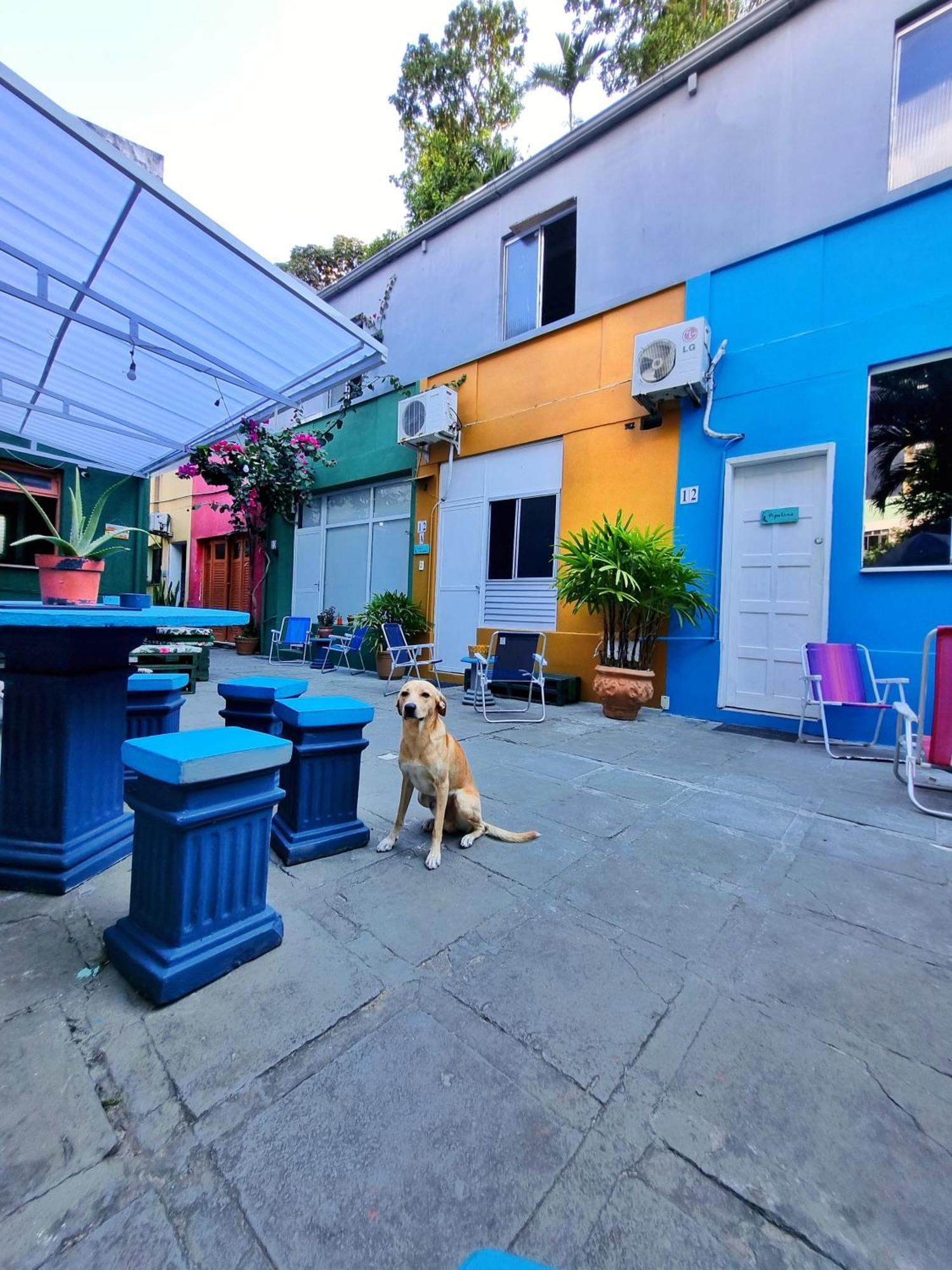 Nomads Hostel Multicultural & Coworking السلفادور المظهر الخارجي الصورة